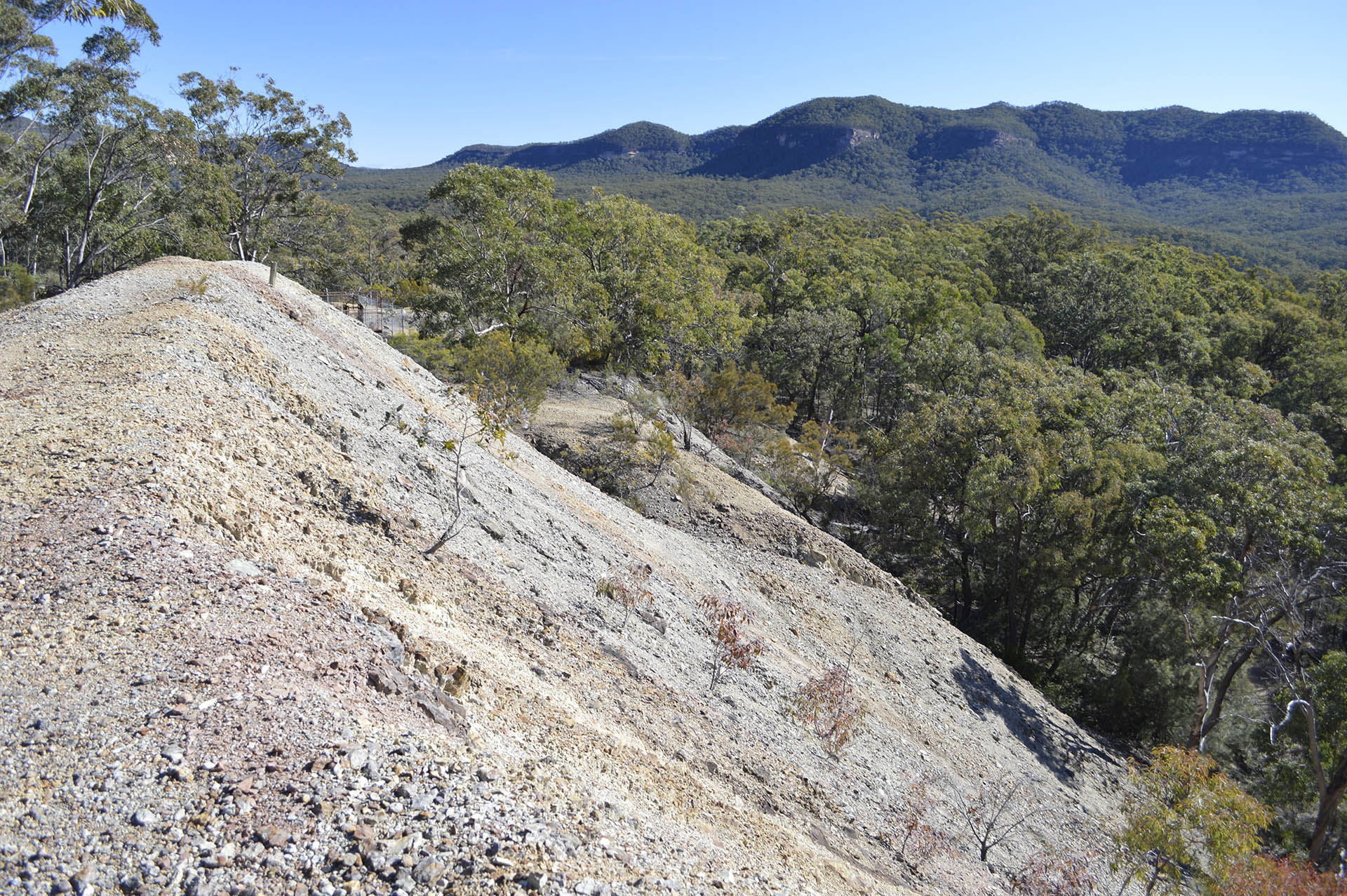 Private Town Campground